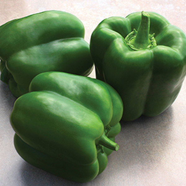 Pepper Clifton Seed Company