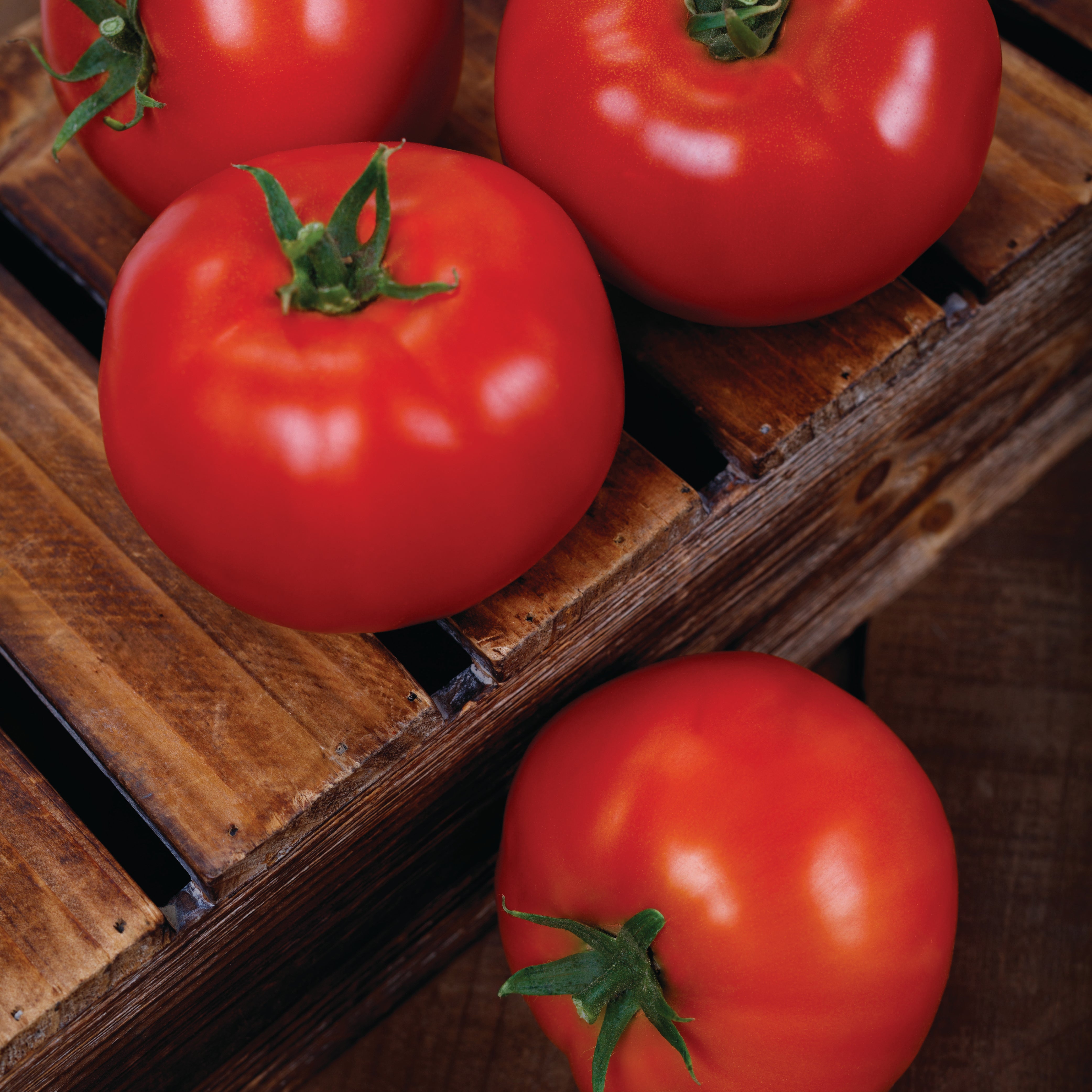 Firebird Clifton Seed Company