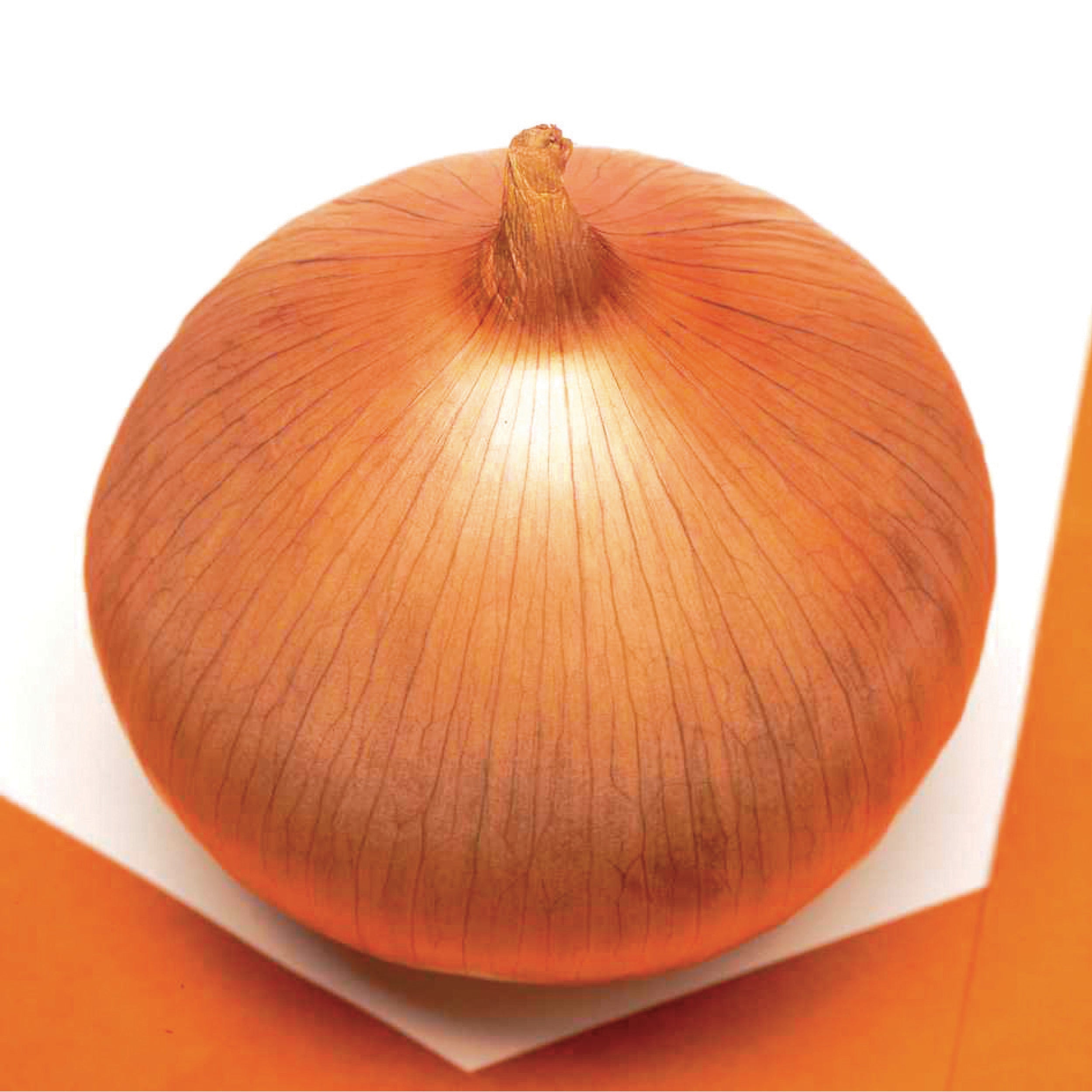 Highlander, SALE Clifton Seed Company