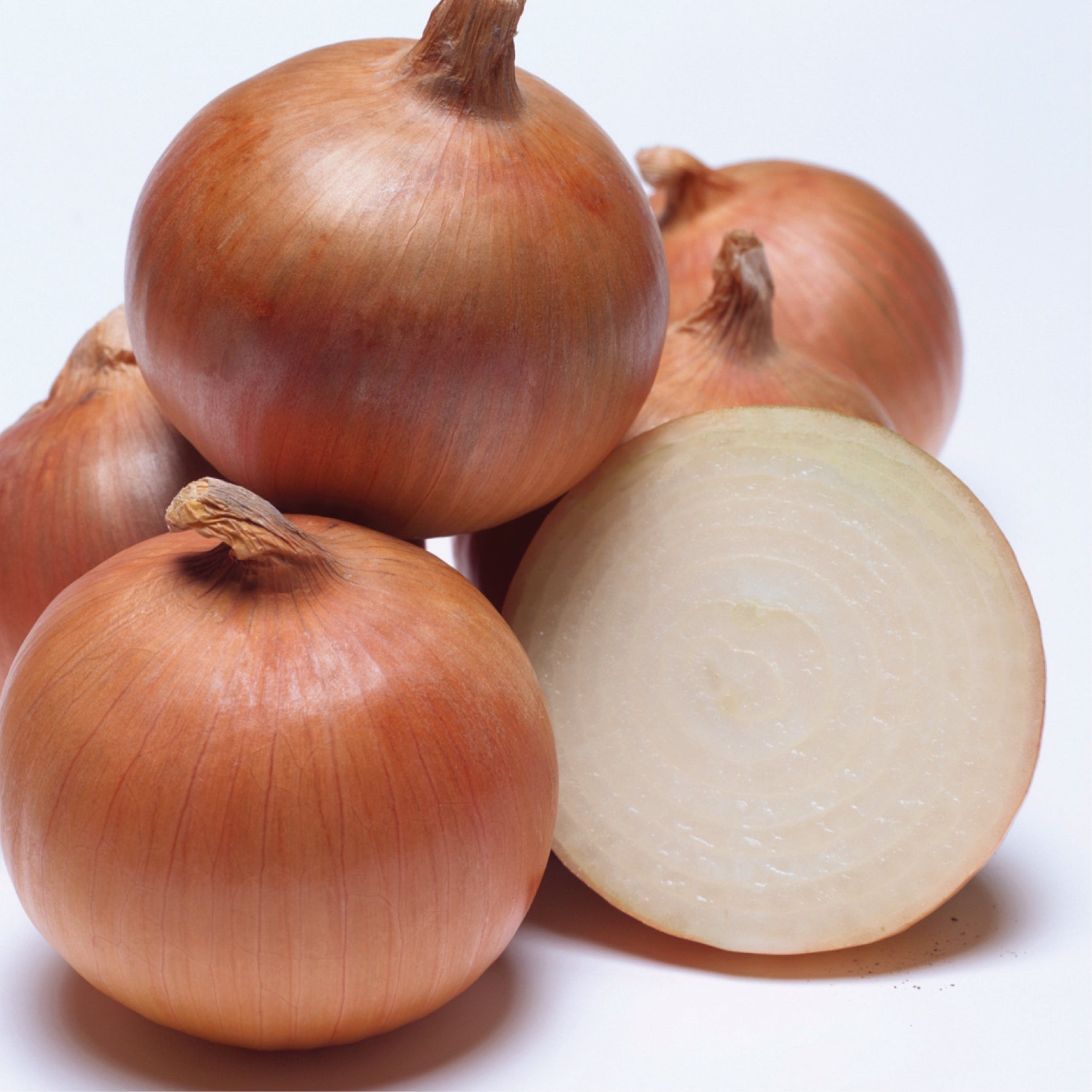 Trailblazer, SALE Clifton Seed Company