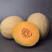 Load image into Gallery viewer, Accolade