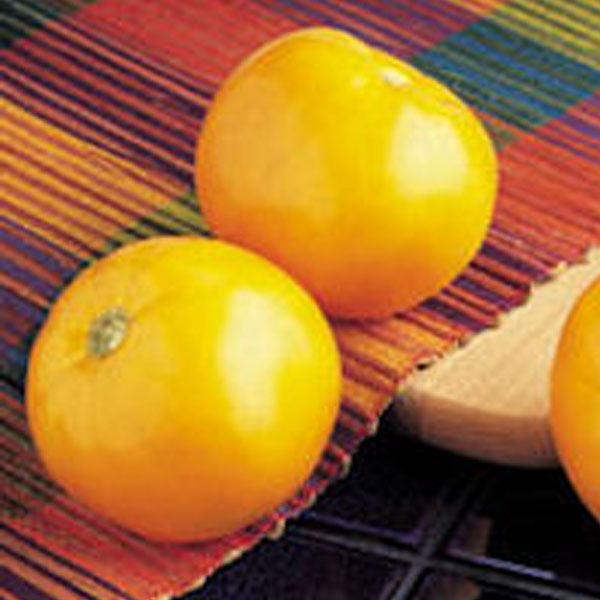 Carolina Gold Clifton Seed Company