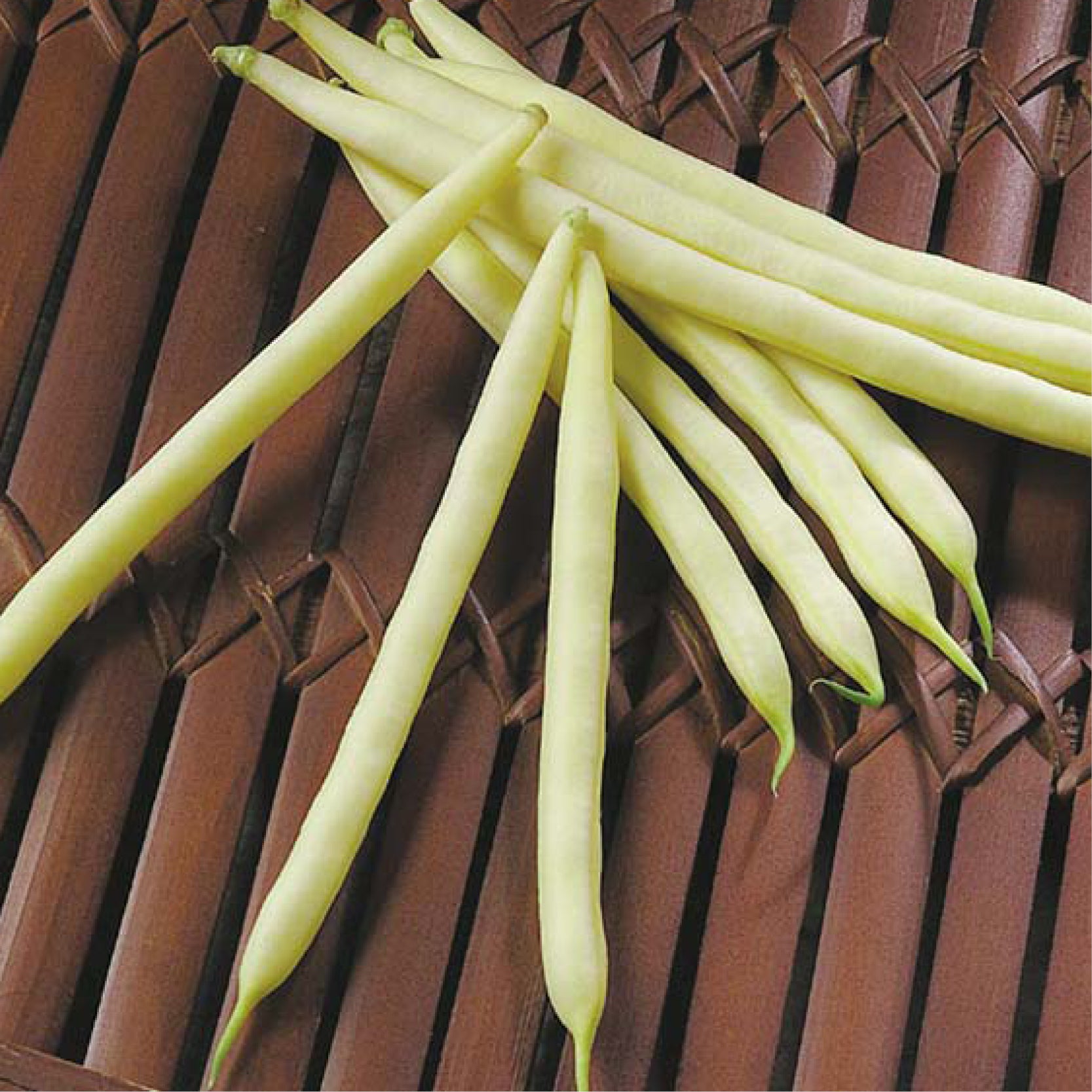 Carson Clifton Seed Company