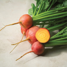 Load image into Gallery viewer, Touchstone Gold