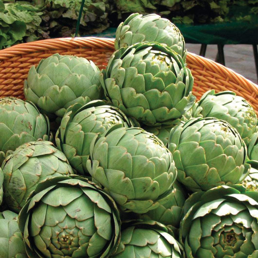 Green Globe