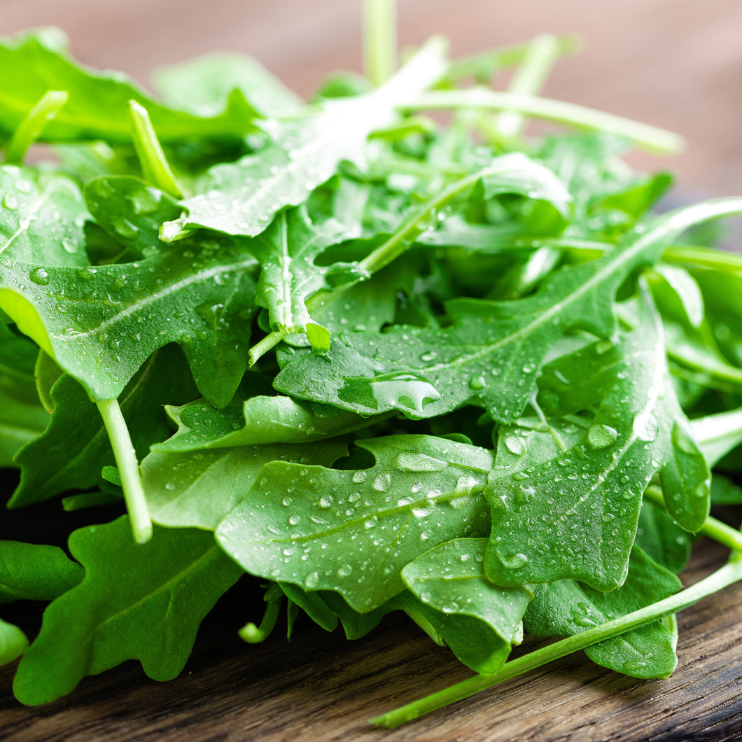 Roquette Arugula