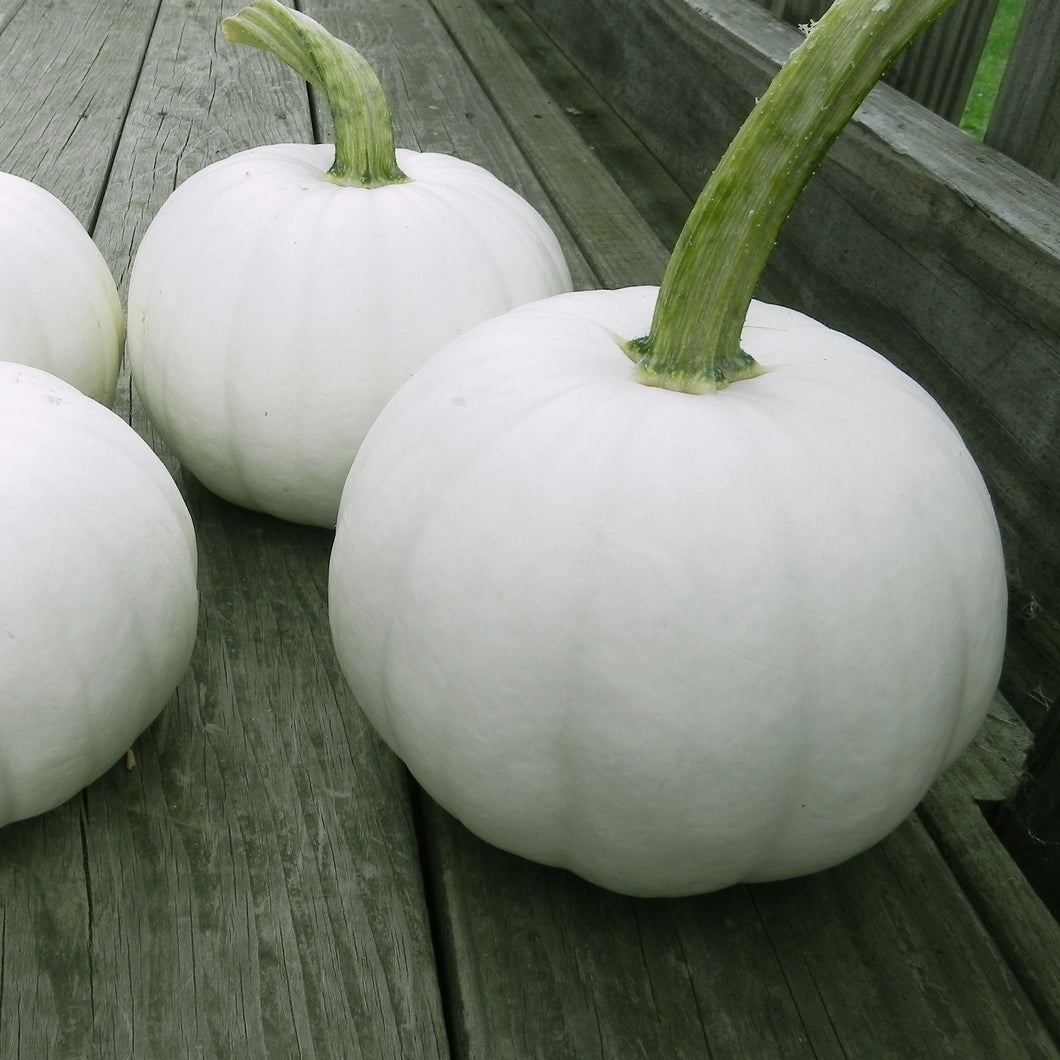 Blanco