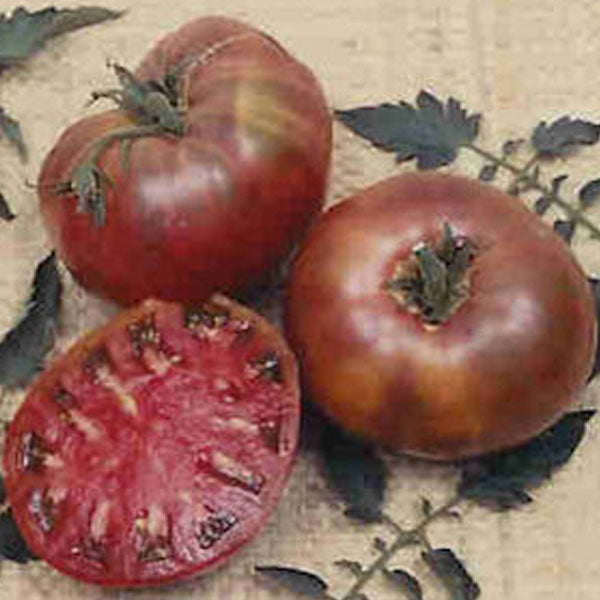 Cherokee Purple