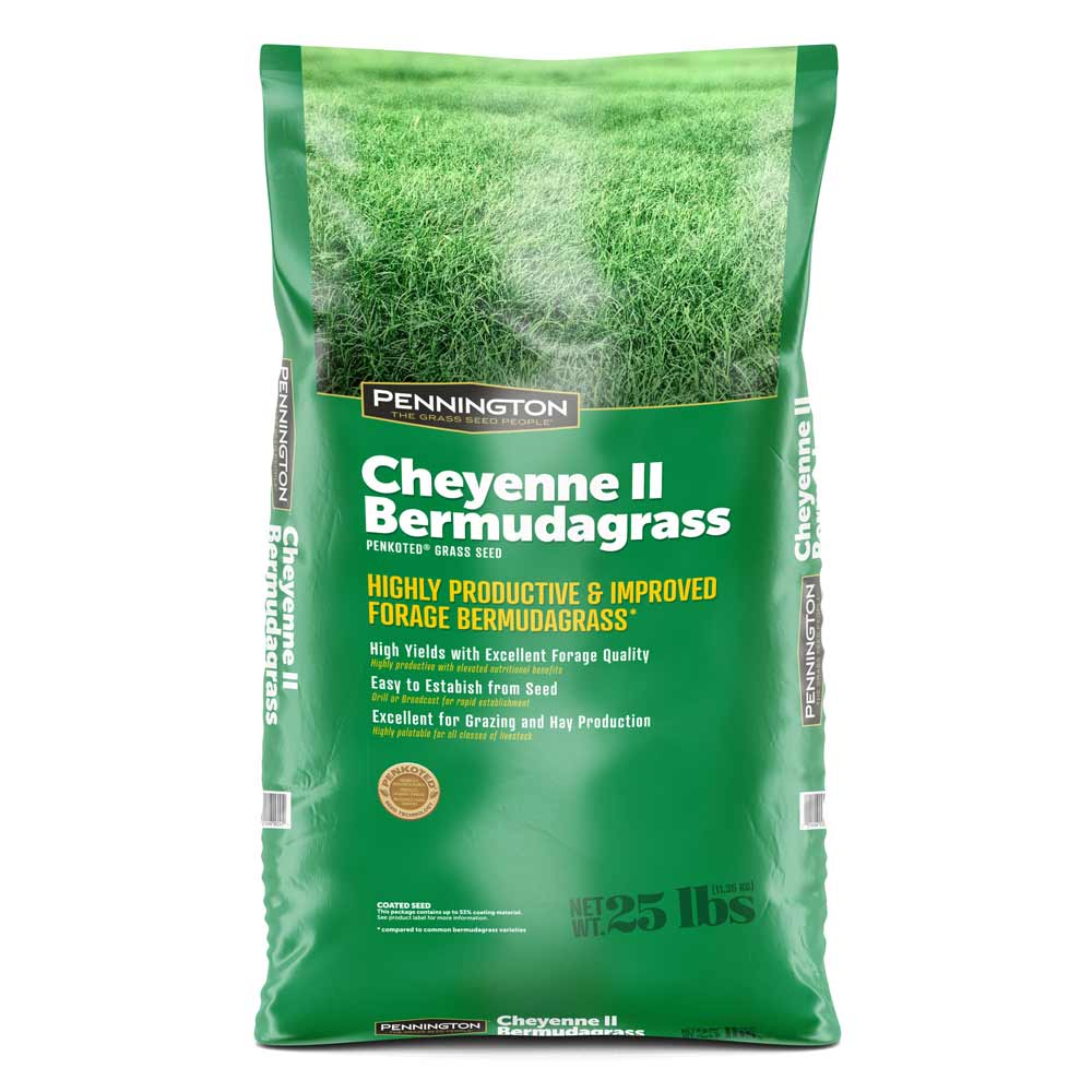 Cheyenne II Bermudagrass