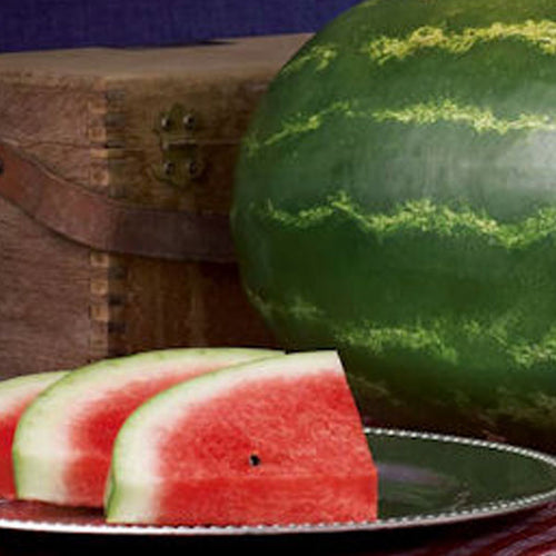 Watermelon Clifton Seed Company