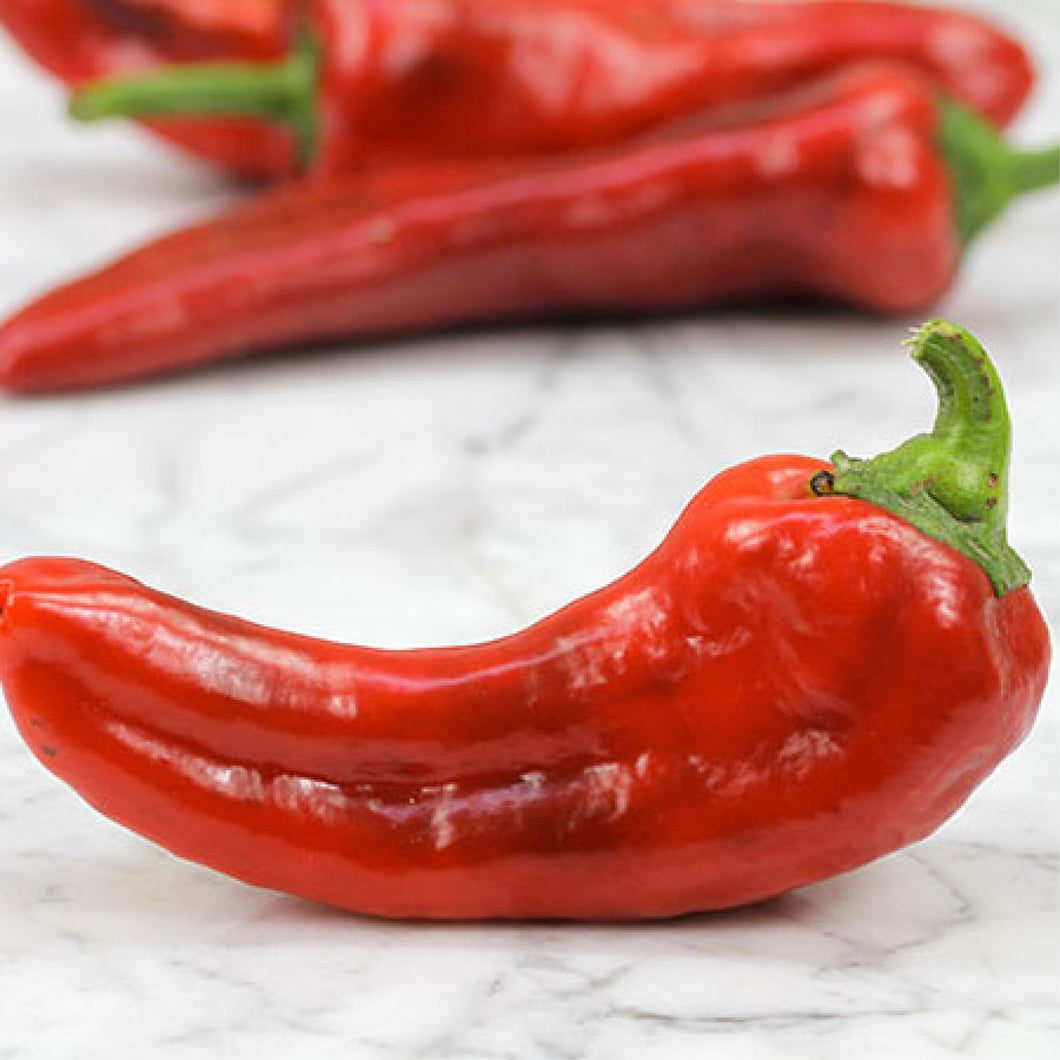 Marconi Red, Pepper