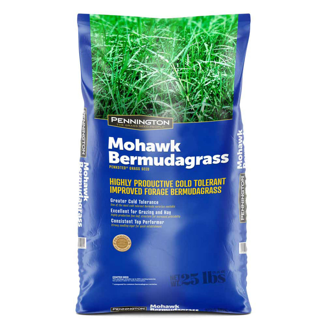 Mohawk Bermudagrass