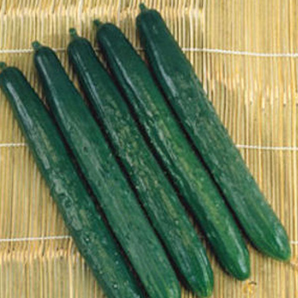 Tasty Green