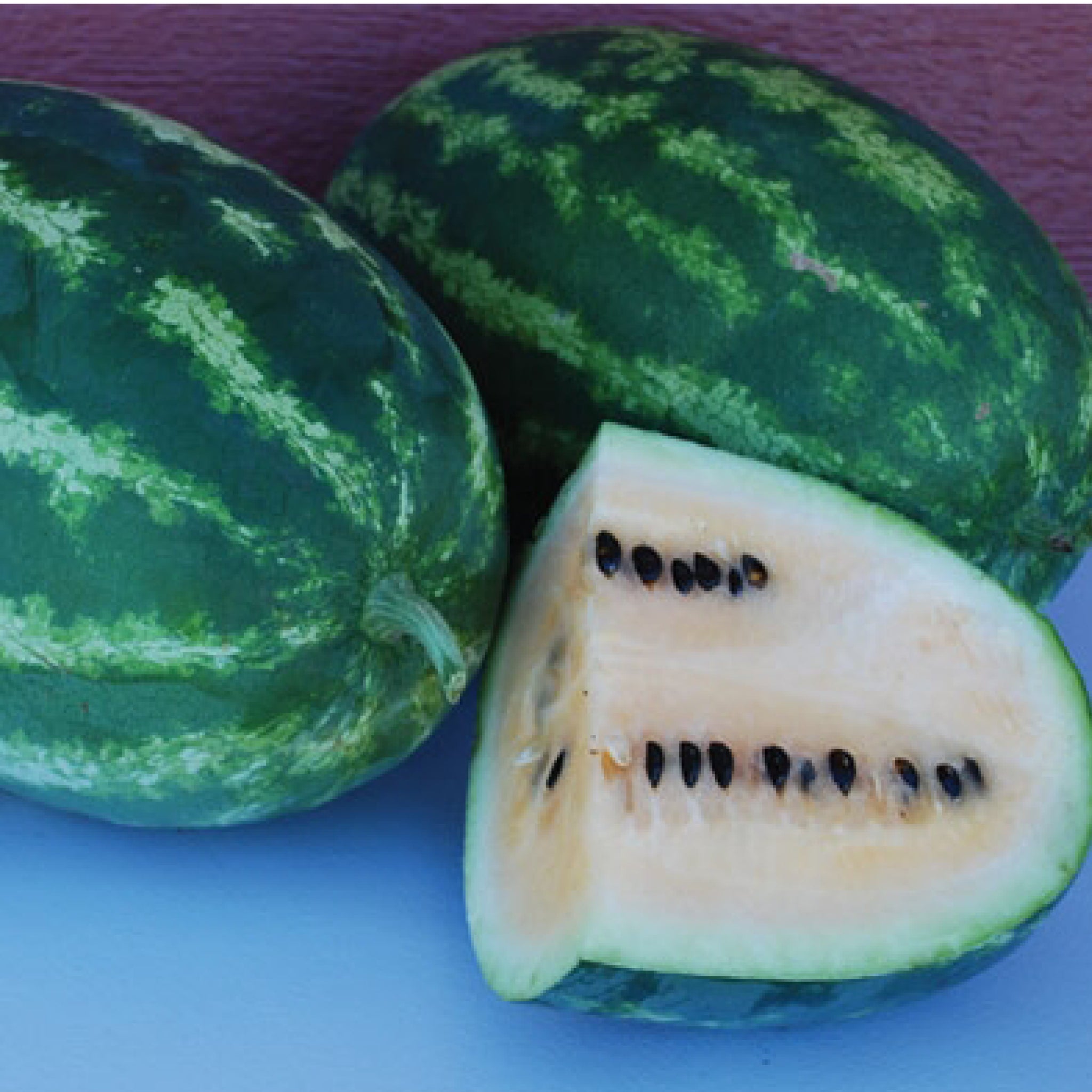 Watermelon – Clifton Seed Company