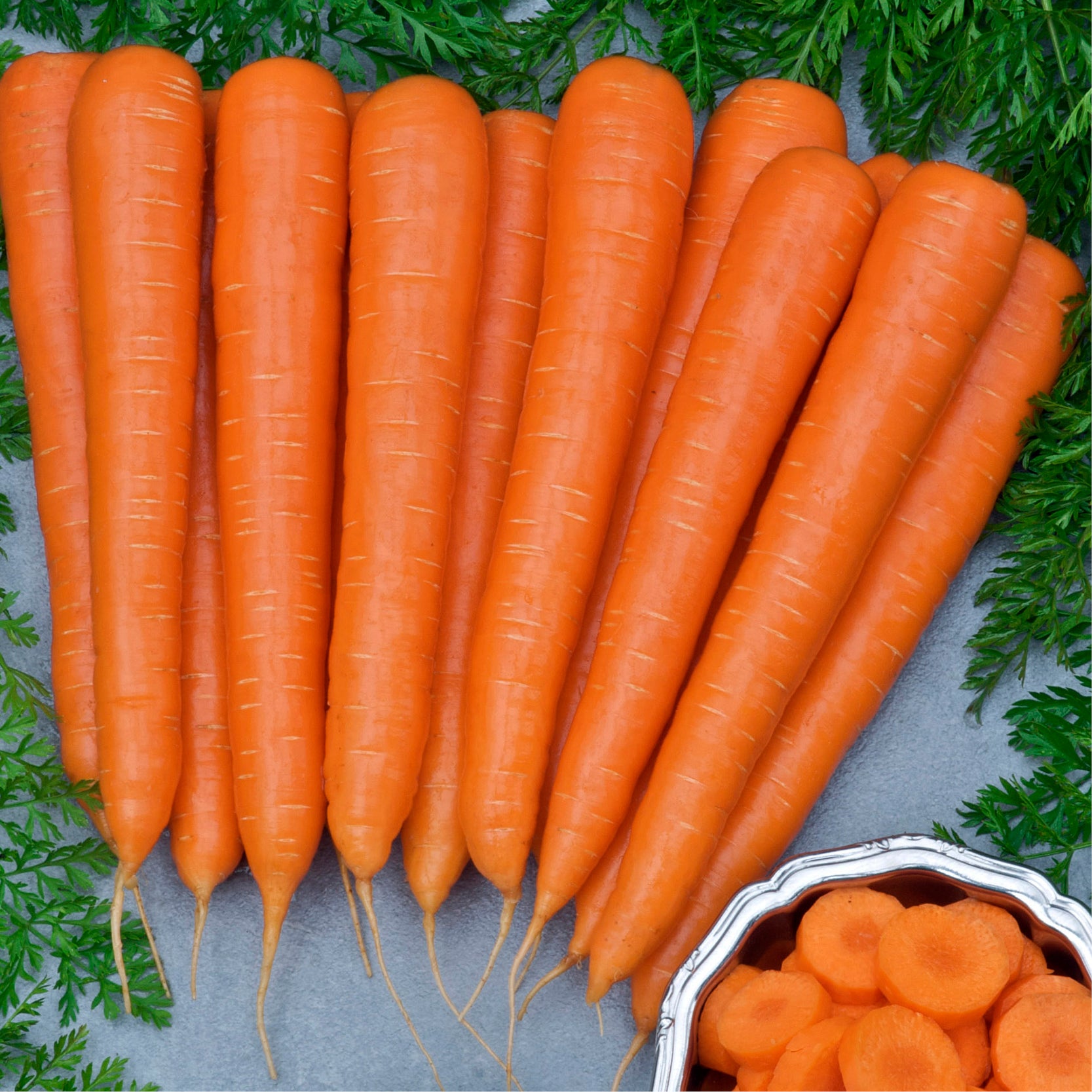 Volcano F1, SALE Clifton Seed Company