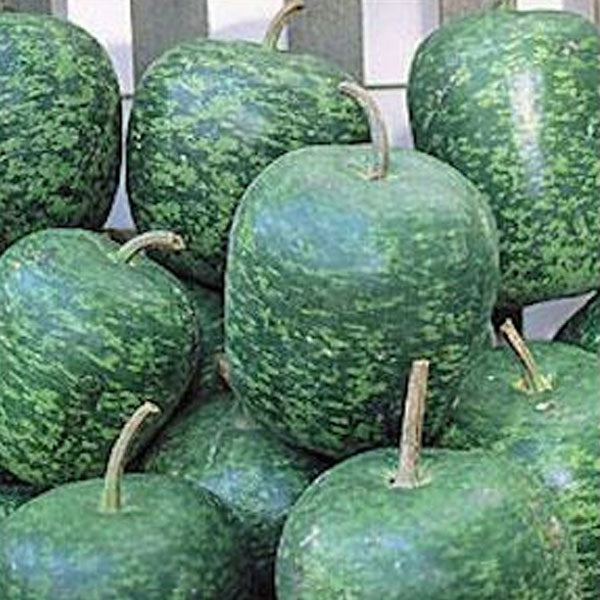 Apple, Gourd