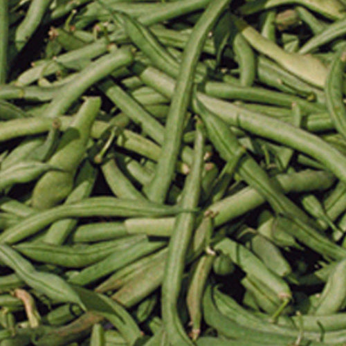 Vegetables Clifton Seed Company